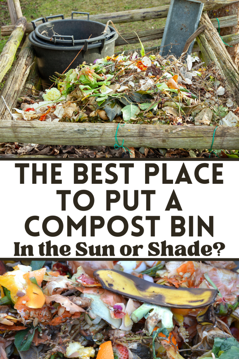 Should I Put My Compost Bin in the Sun or Shade? The Homestead Hangout