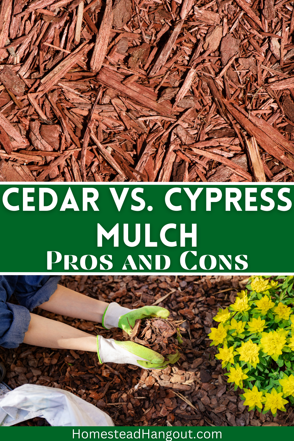 Cypress Mulch Vs Cedar Mulch: Which is Better? - The Homestead Hangout