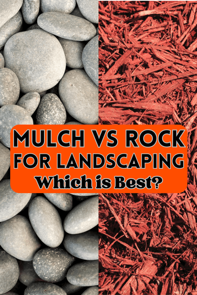 Mulch Vs Rock for Landscaping Which is Best + Pros and Cons The