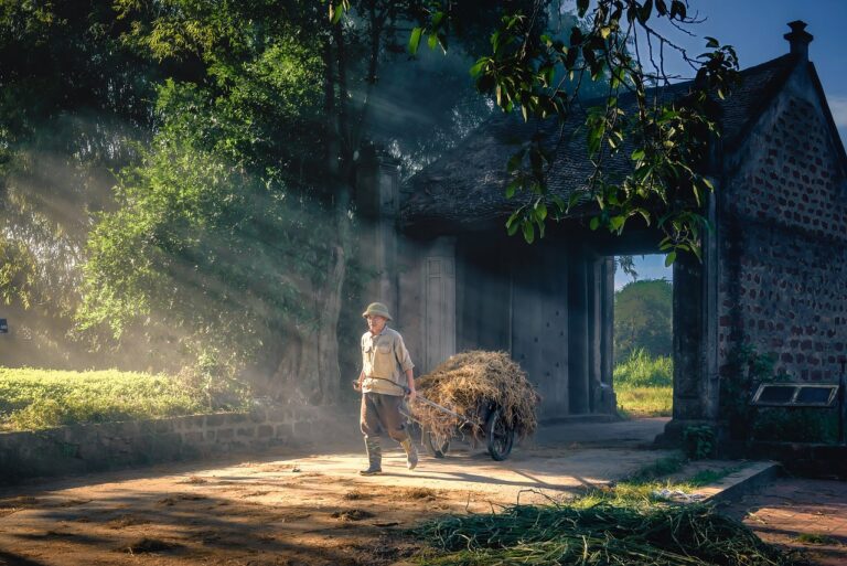 Using Hay as Mulch for Your Garden Pros and Cons The Homestead Hangout