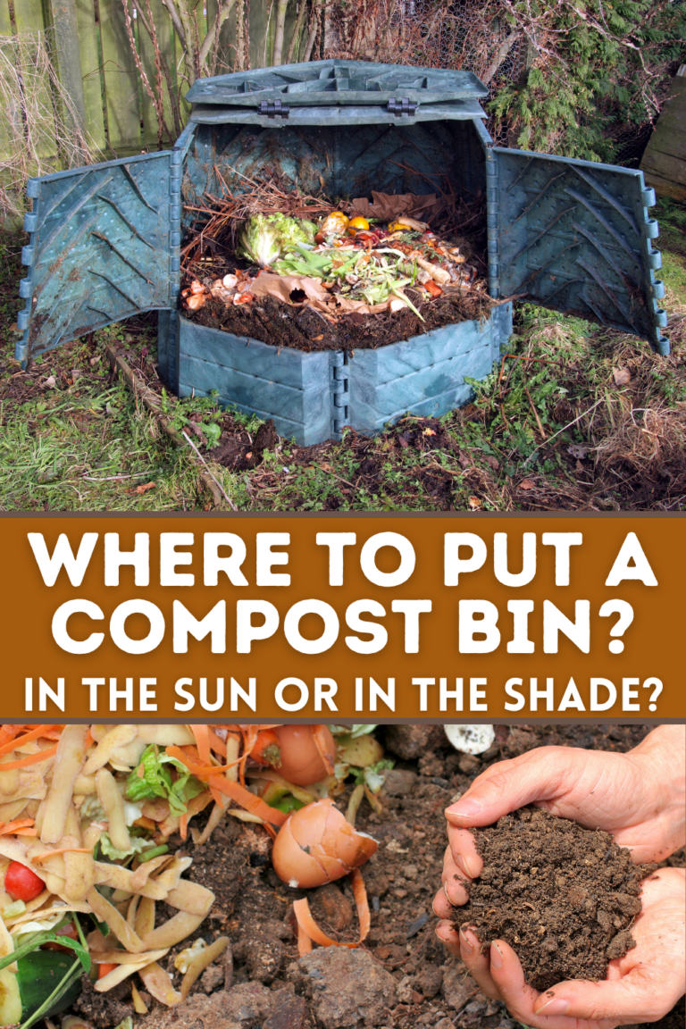 Should I Put My Compost Bin in the Sun or Shade? The Homestead Hangout