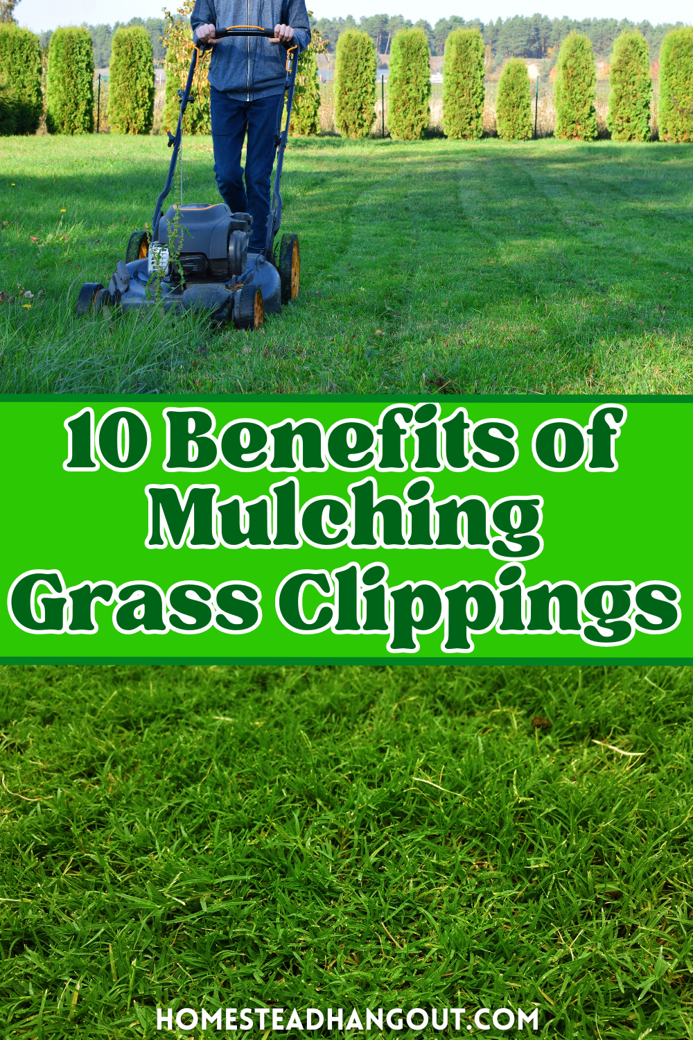 10 Benefits of Mulching Grass Clippings Instead of Bagging - The ...