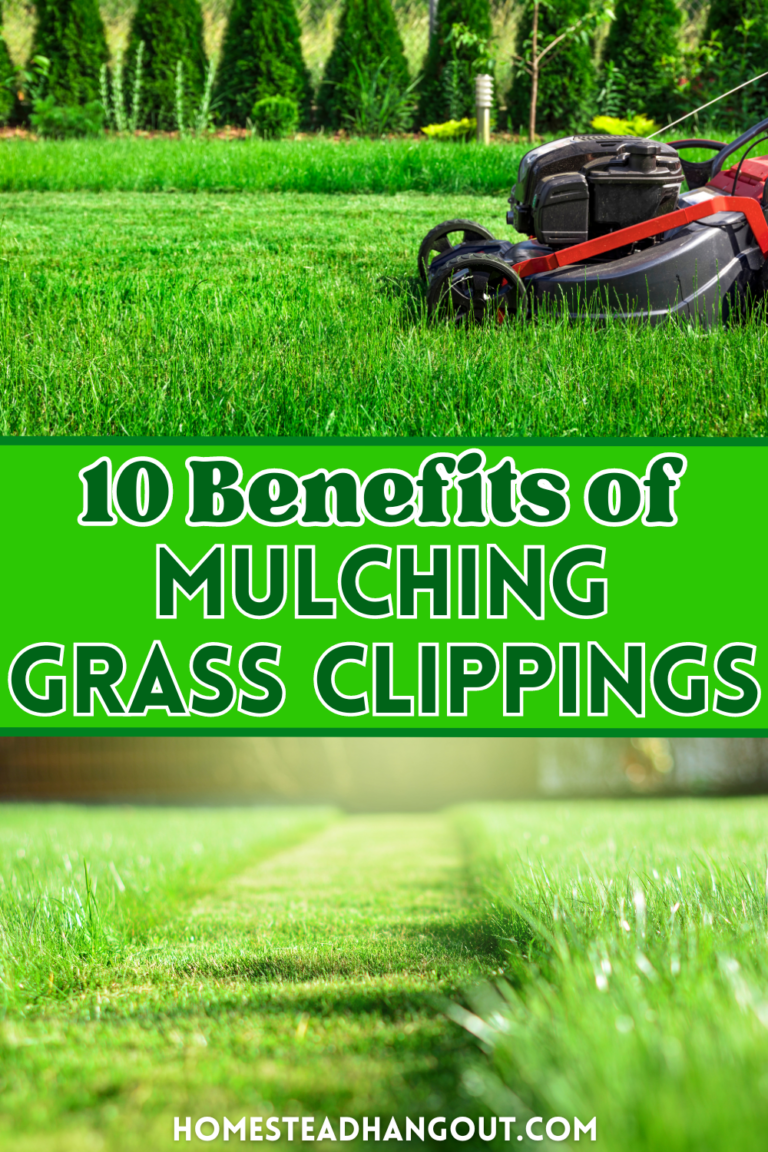 10 Benefits of Mulching Grass Clippings Instead of Bagging The