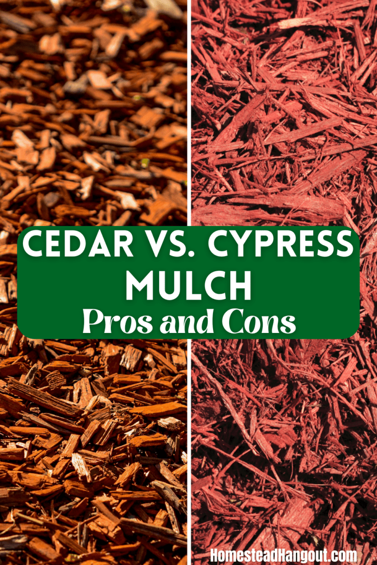 Cypress Mulch Vs Cedar Mulch Which is Better? The Homestead Hangout