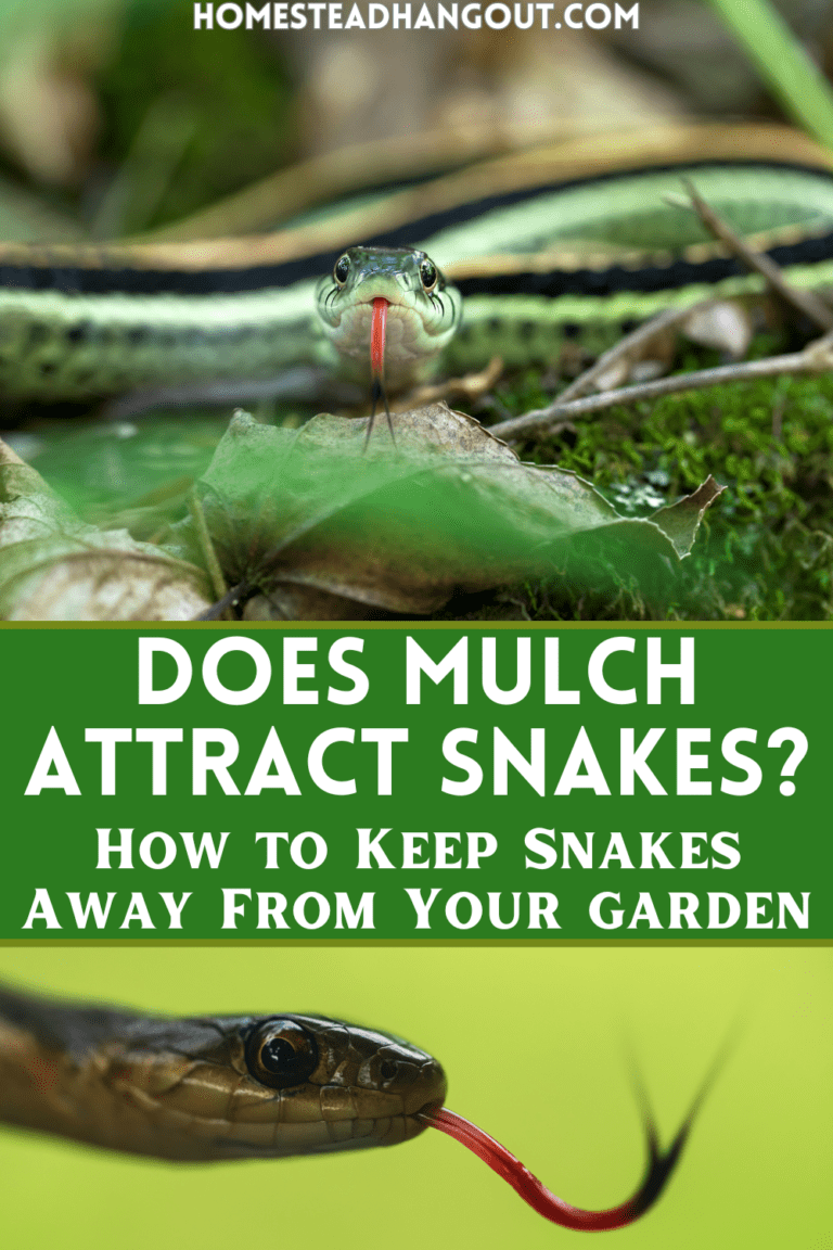 The Best Mulch to Keep Snakes Away From Your Yard The Homestead Hangout