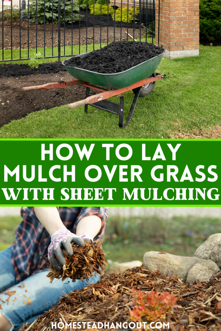 How to Lay Mulch Over Grass with Sheet Mulching The Homestead Hangout
