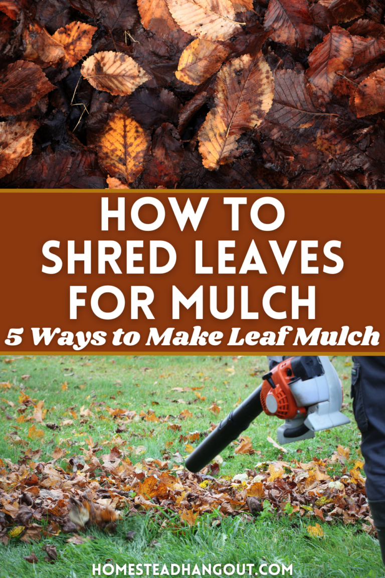 How to Shred Fallen Leaves for Mulch 5 Options The Homestead Hangout