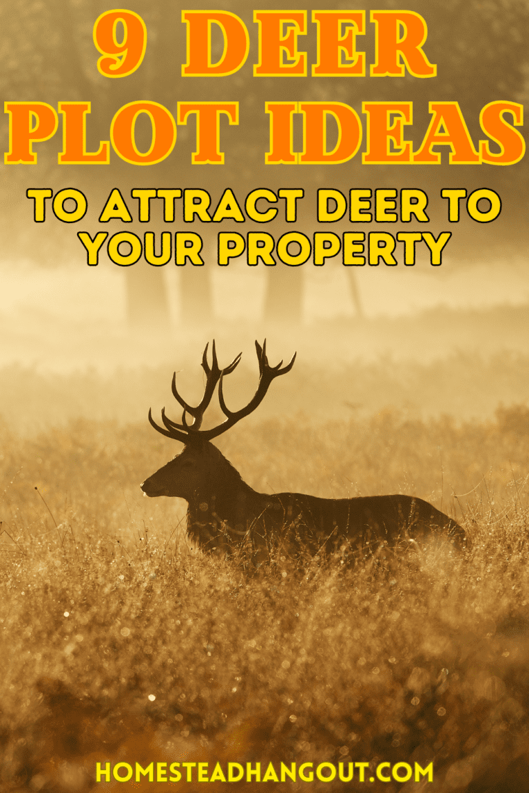 What is the Best Deer Food Plot for Sandy Soil? - The Homestead Hangout